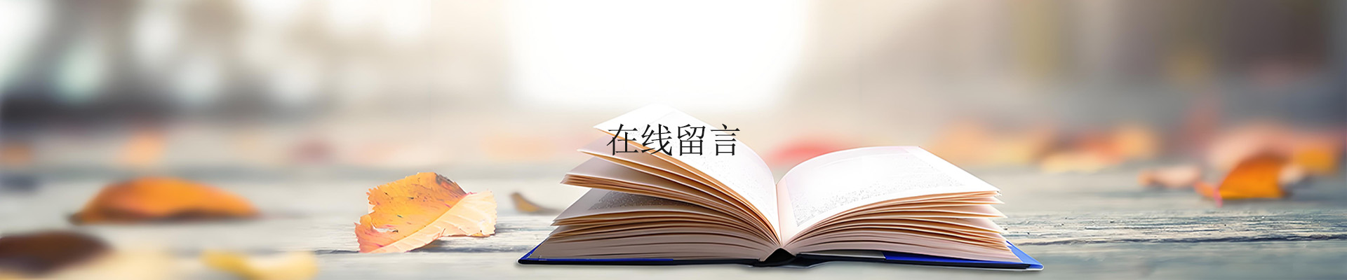 鄭州市海旭磨料有限公司